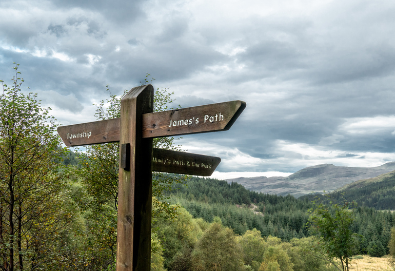 a wooden forest sign overlooking a loch 