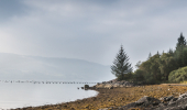A rocky beach next to a conifer forest with a calm sea with mountains on the other side and rememands of an old bridge in the water