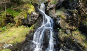Waterfall flows over moss and plant covered rocks, Ardgartan, Argyll Forest Park
