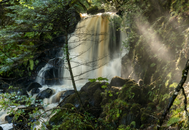 A waterfall next to a bridge with morning light shining through