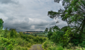 A forest road elevated over rolling fields with dark clouds