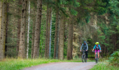 Man and woman on mountain bikes ride on tree lined cycle path, Balnain, near Loch Ness