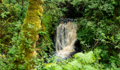  small waterfall in a forest