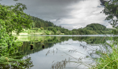 A calm loch surrounded by trees
