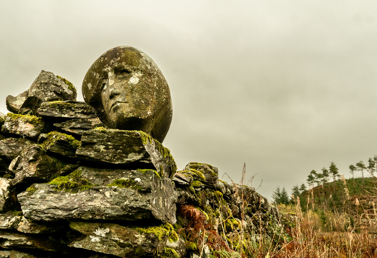A women's head carved into a stone wall with trees and long grass