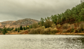 A calm loch with pine trees and a rocky hillside behind it. 
