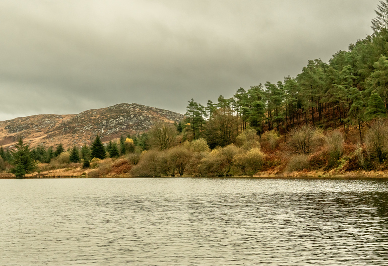 A calm loch with pine trees and a rocky hillside behind it. 