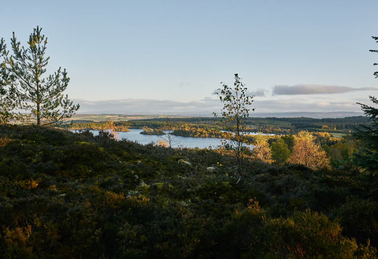 Wide landscape over loch and autumnal trees under pale blue sky.