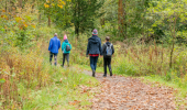 Rear view of man, woman, young girl and young boy walking together in forest path, Bluebell Wood, Renfrewshire Woods, near Johnstone