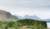 View across tops of conifer trees at Broadford towards the Cuillin mountains on Skye.