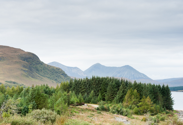 View across tops of conifer trees at Broadford towards the Cuillin mountains on Skye.
