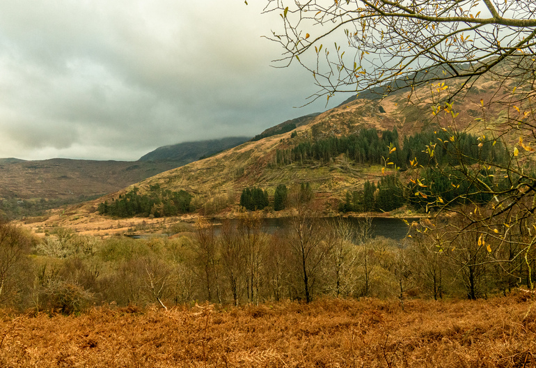  A loch surrounded by hills with bracken and forestry on the hillside