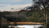 View over loch towards snow capped mountain, from Cally Woods, near Gatehouse of Fleet