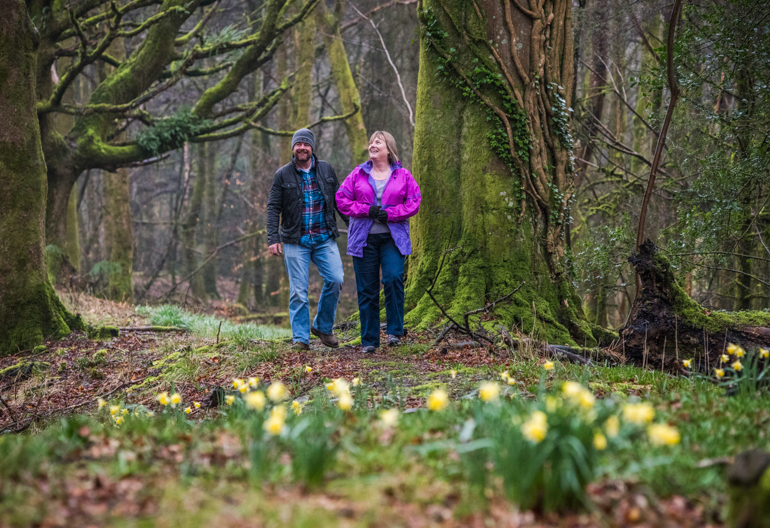  Man and woman (in purple jacket) sit in amongst tete a tete daffodils in woodland, Cally Woods, near Gatehouse of Fleet