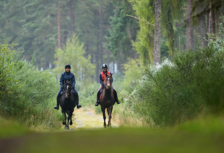 Two woman ride their horses side by side, on woodland path, Camore Wood, Dornoch, Sutherland