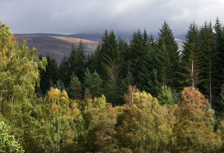 Forest and mountains around the Carie Hydro Scheme, Loch Rannoch, Perthshire