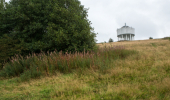 A meadow of wild grass and trees in front of a white view tower