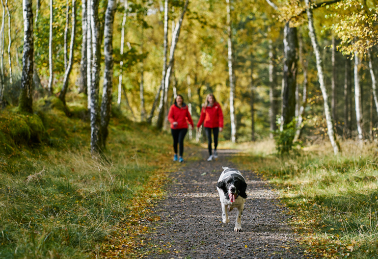 Woman and teenage girl, wearing red jackets, walk with dog along tree lined woodland path, Contin, near Strathpeffer