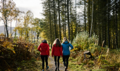 Rear view of woman and two teenage girls walking along woodland trail, Contin Forest, near Strathpeffer, with Strathconon hills in background