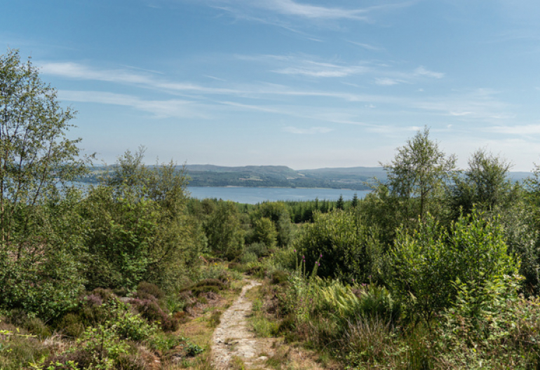 A rocky path down a hillside with trees and the sea in the distance