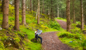 Man sits on boulder on woodland trail and consults informational leaflet, Craigmonie Forest, near Drumnadrochit