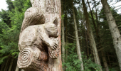 A stump carved into a squirrel eating an acorn, behind is a pine woodland