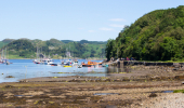 A rocky beach in a harbour with boats and a small woodland in the distance. 