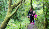  Woman and two young girls walk on woodland path, Dunardry Trail, Knapdale