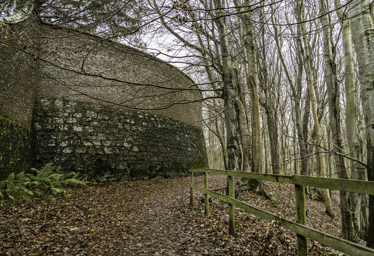A brick wall in a forest with a wooden rail