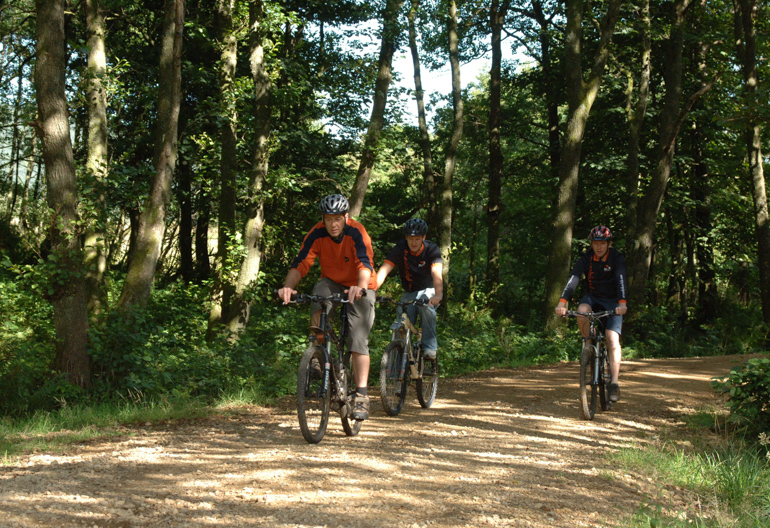 Three male mountain bikers cycling down a gravel forest path