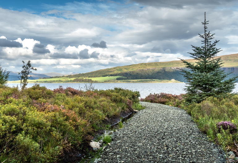 A gravel path through heather with islands in the background