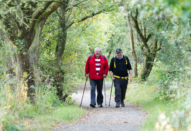 Two old men walking along a broad forest path surrounded by green trees.