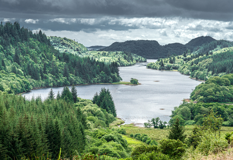View of a sea loch through hills with trees and ferns