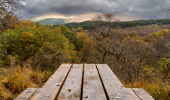 A picnic table overlooking a autumn canopy 