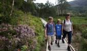 A woman and two boys walk along a boardwalk above thick ferns and heather