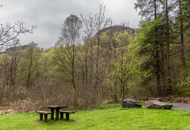 Picnic table next to a forest with mountain tops visible 