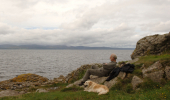 A man and dog sit on rocks looking out to sea