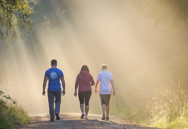 Three people walk along a footpath as sun rays shine through conifer trees