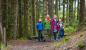 A family of four gaze up at trees above a woodland footpath