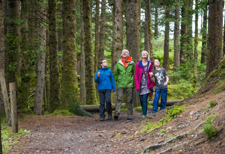 A family of four gaze up at trees above a woodland footpath