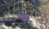 A boulder embedded in a grass hillock
