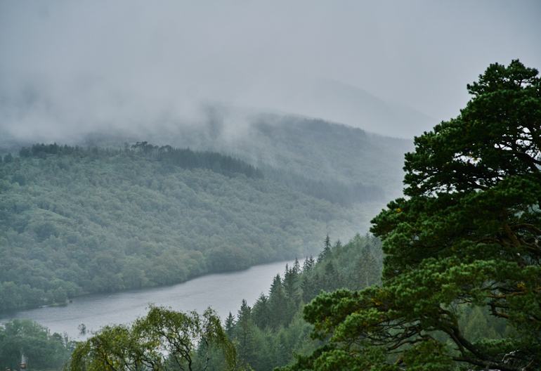 A narrow loch between misty forested hills