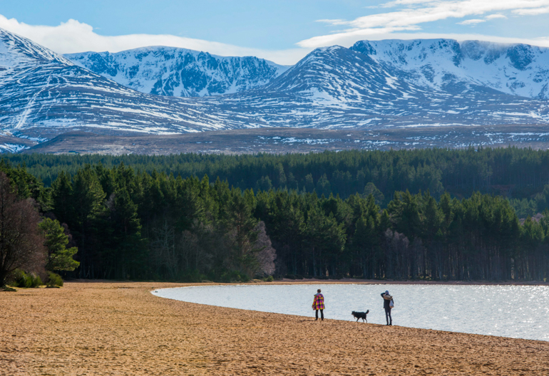 Two people and dog walking on golden sandy beach beside loch with green forest nearby and snowy hills above.