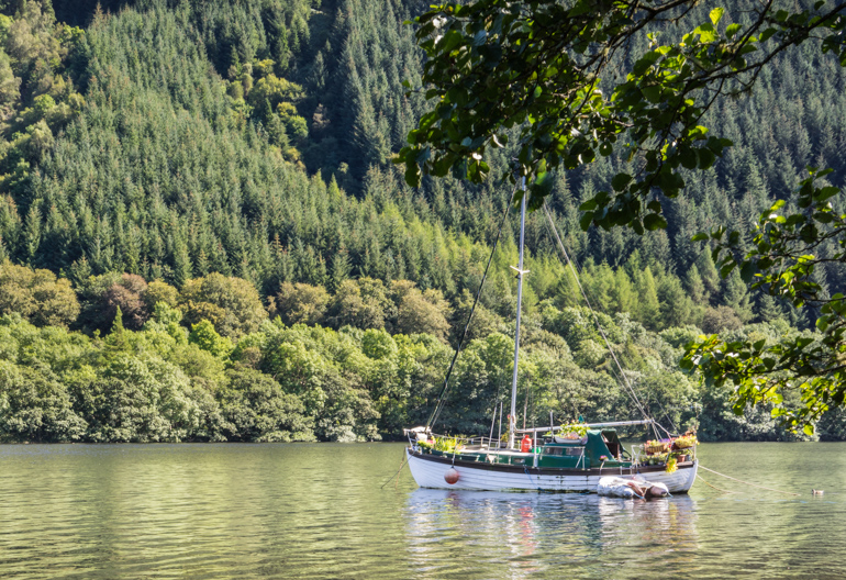 A sail boat tied up in calm water with a forested hillside in the background.