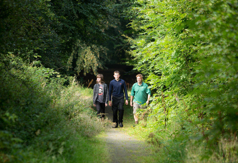 Three men walking on narrow woodland path between bright green trees and foliage.