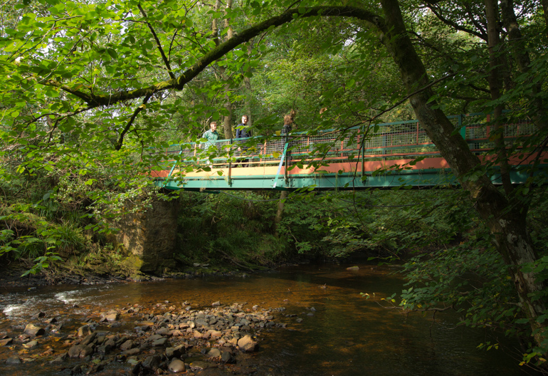 Several people walking across a footbridge in dense forest over a small brown stream.