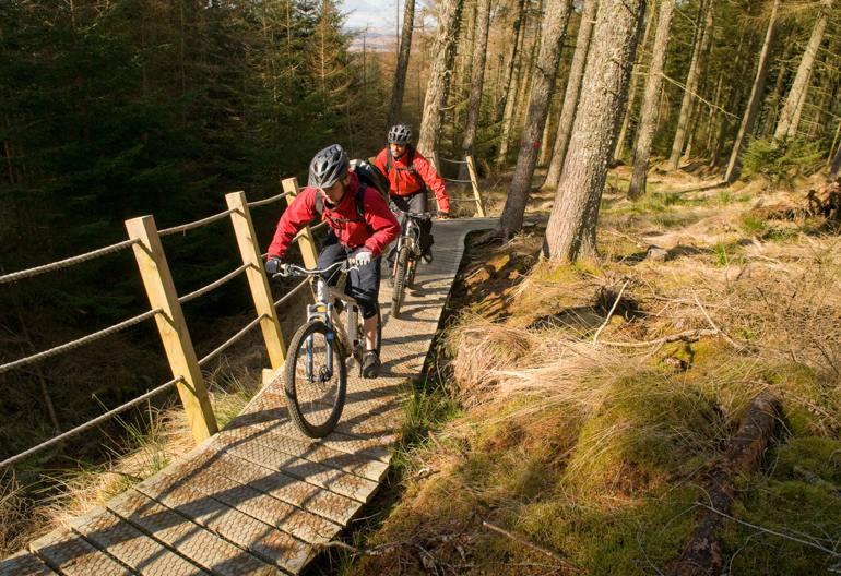Two men in red jackets riding mountain bikes down a wooden mountain bike trail in a pine woodland