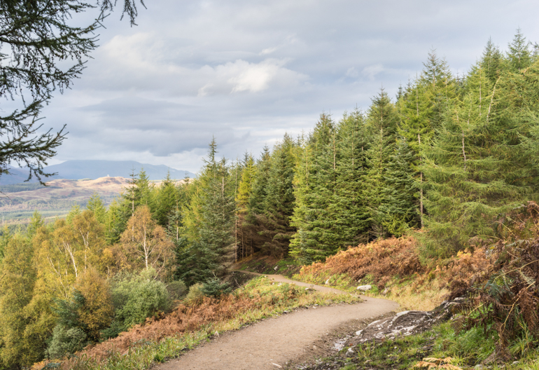 A path disappearing into mixed woodland with large grey mountains beyond.
