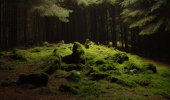 A moss covered stone circle in a dark woodland with light coming through the canopy