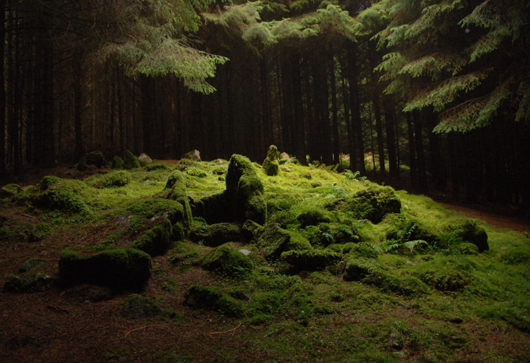 A moss covered stone circle in a dark woodland with light coming through the canopy